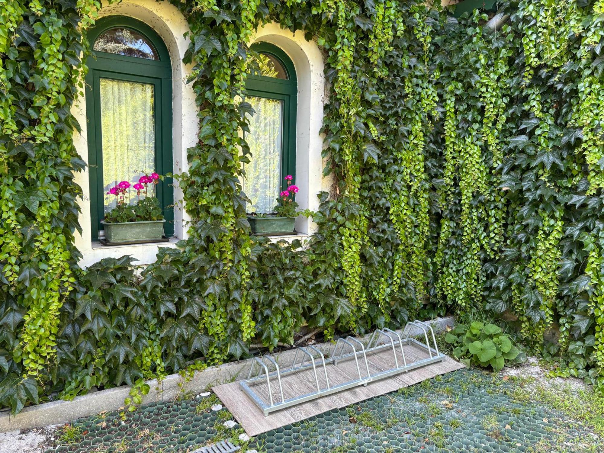 Szalay Villa Veszprém Exterior foto